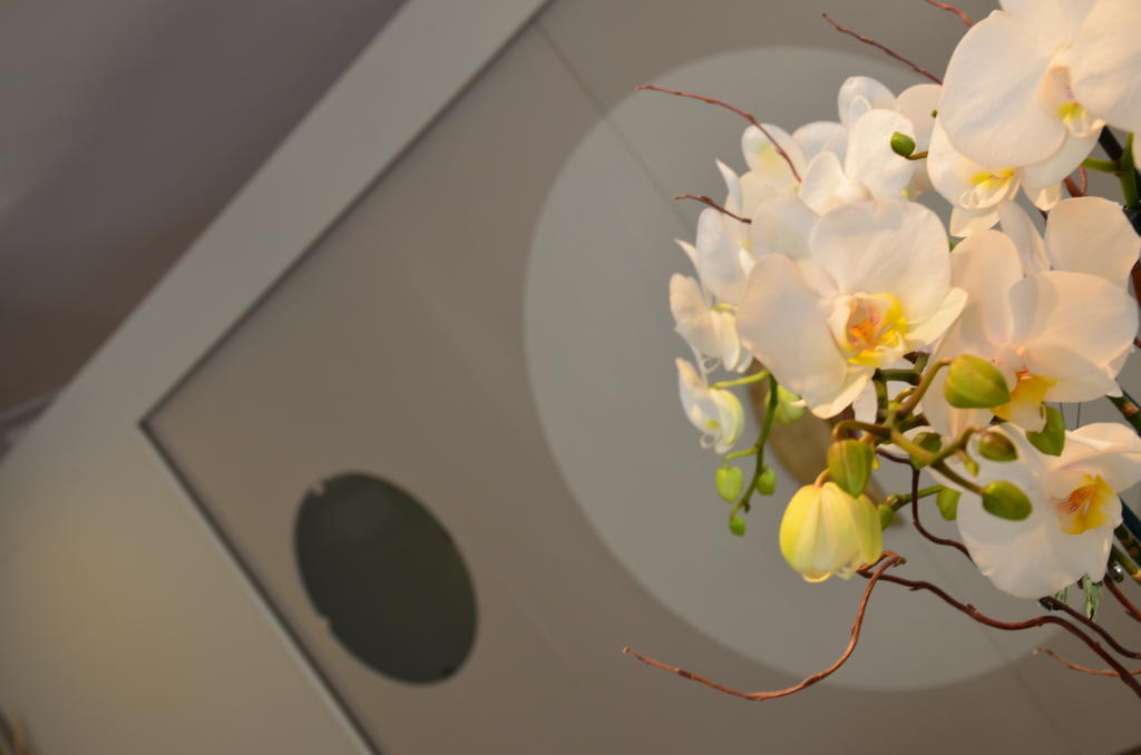 Hotel Mirage Milano Marittima Luaran gambar